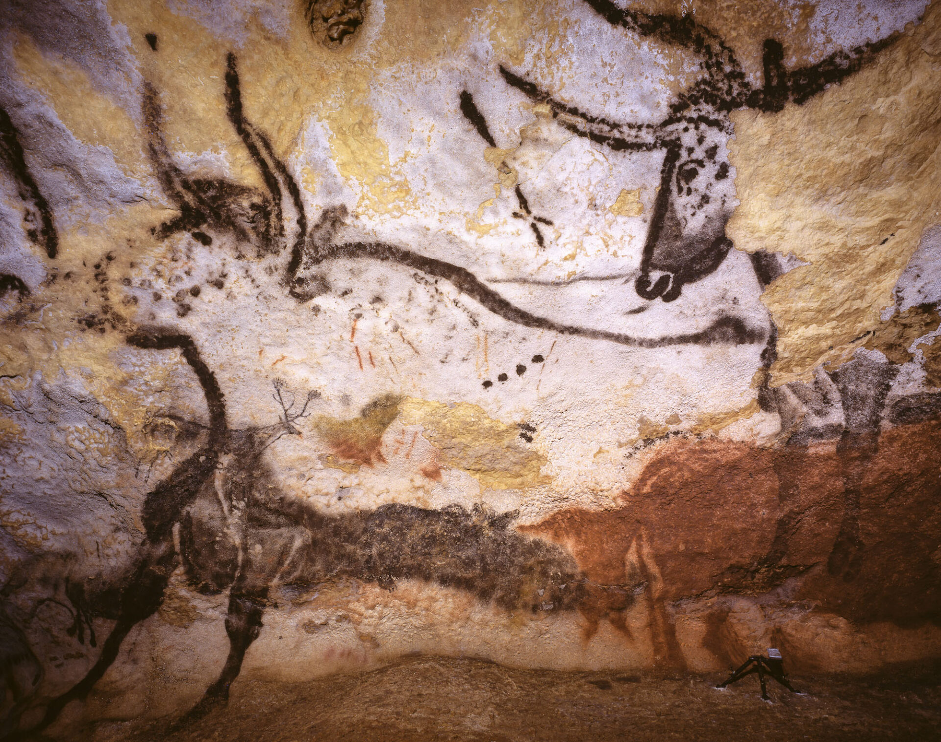 La nouvelle exposition internationale LASCAUX